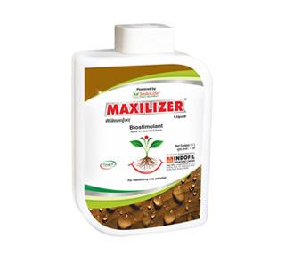Maxilizer Liquid